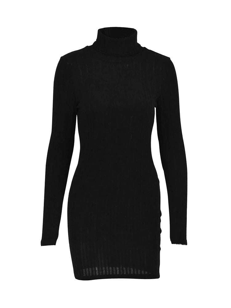 New Sexy Mini Dress For Women Autumn Black Solid Turtleneck Long Sleeves Sheath 
Mini robe à col roulé à manches longues pour femmes, robes fourreau, noir uni, sexy, automne, nouveau